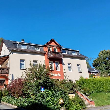 Villa Helvetia Bad Elster Exteriör bild