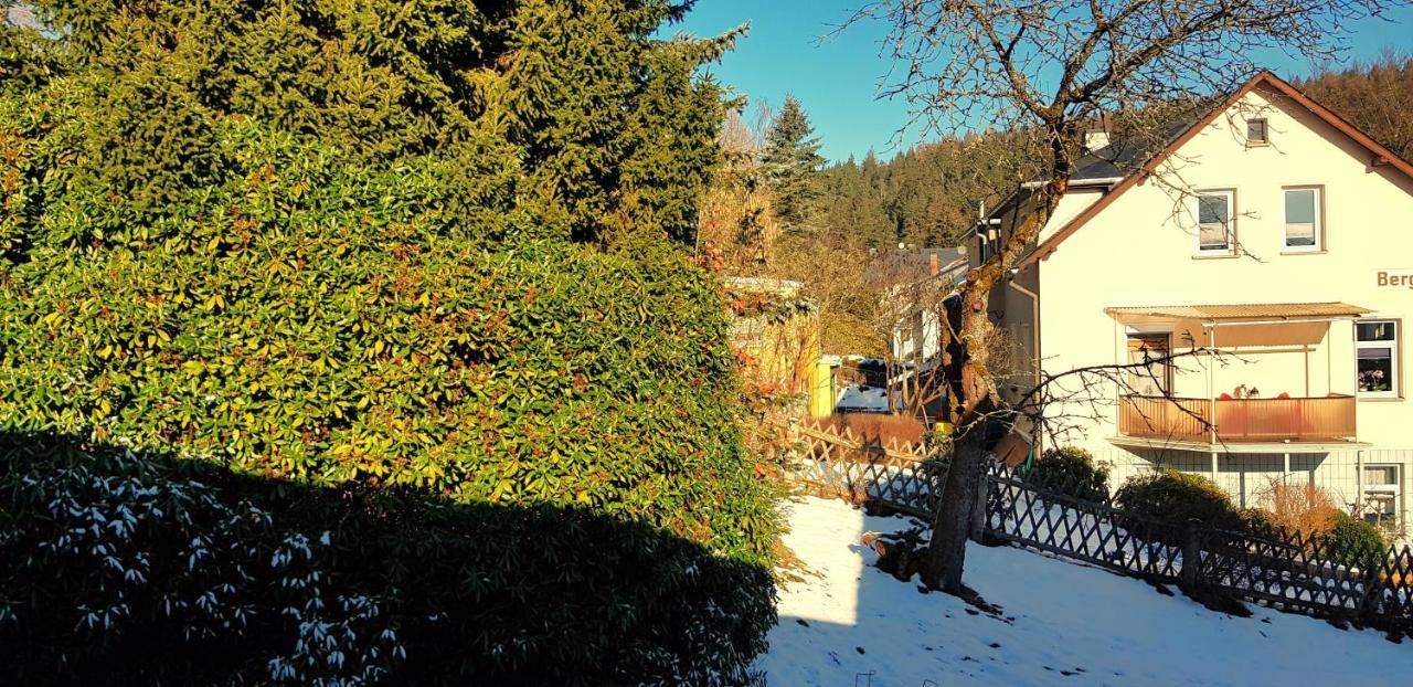 Villa Helvetia Bad Elster Exteriör bild