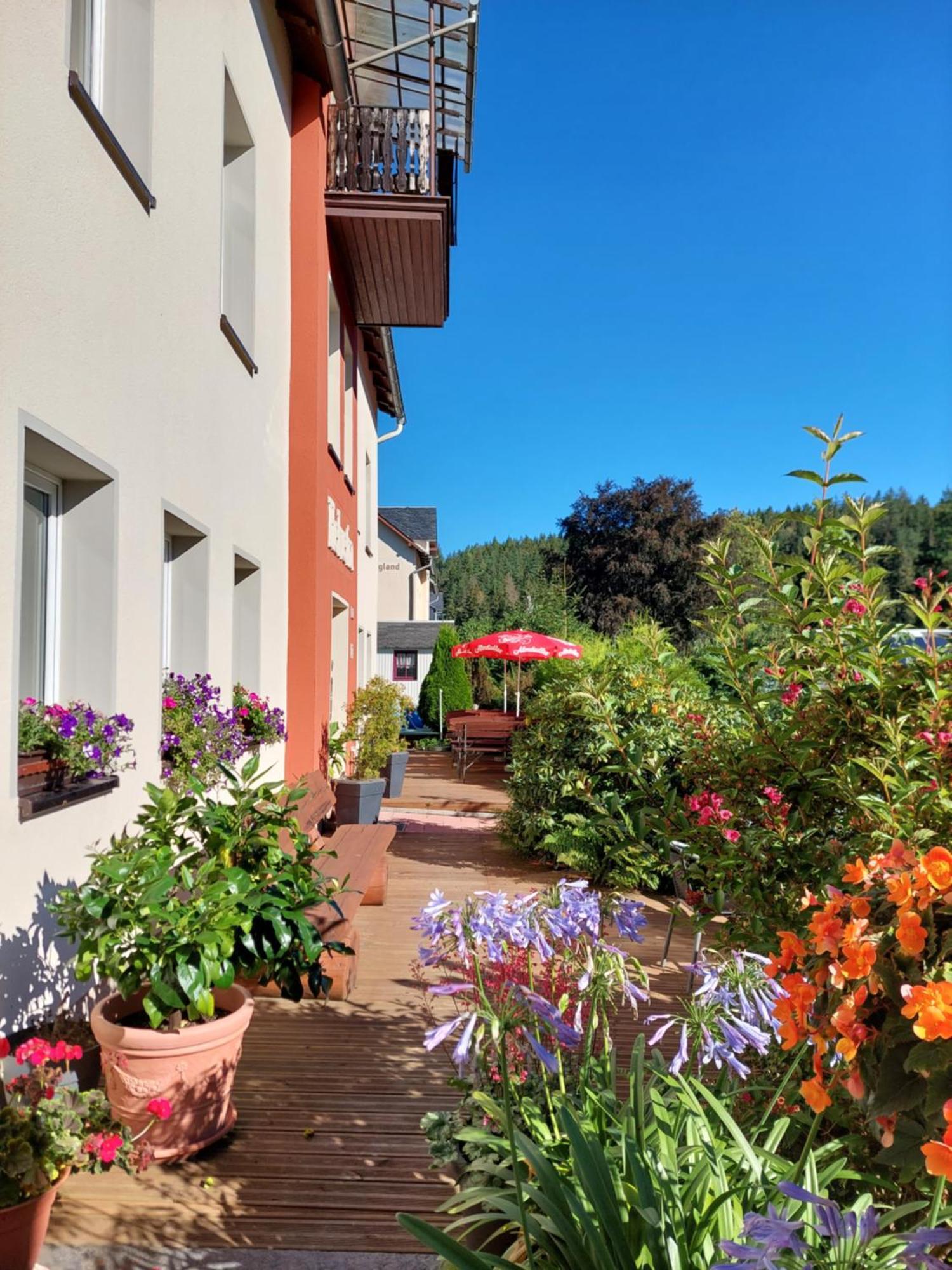 Villa Helvetia Bad Elster Exteriör bild
