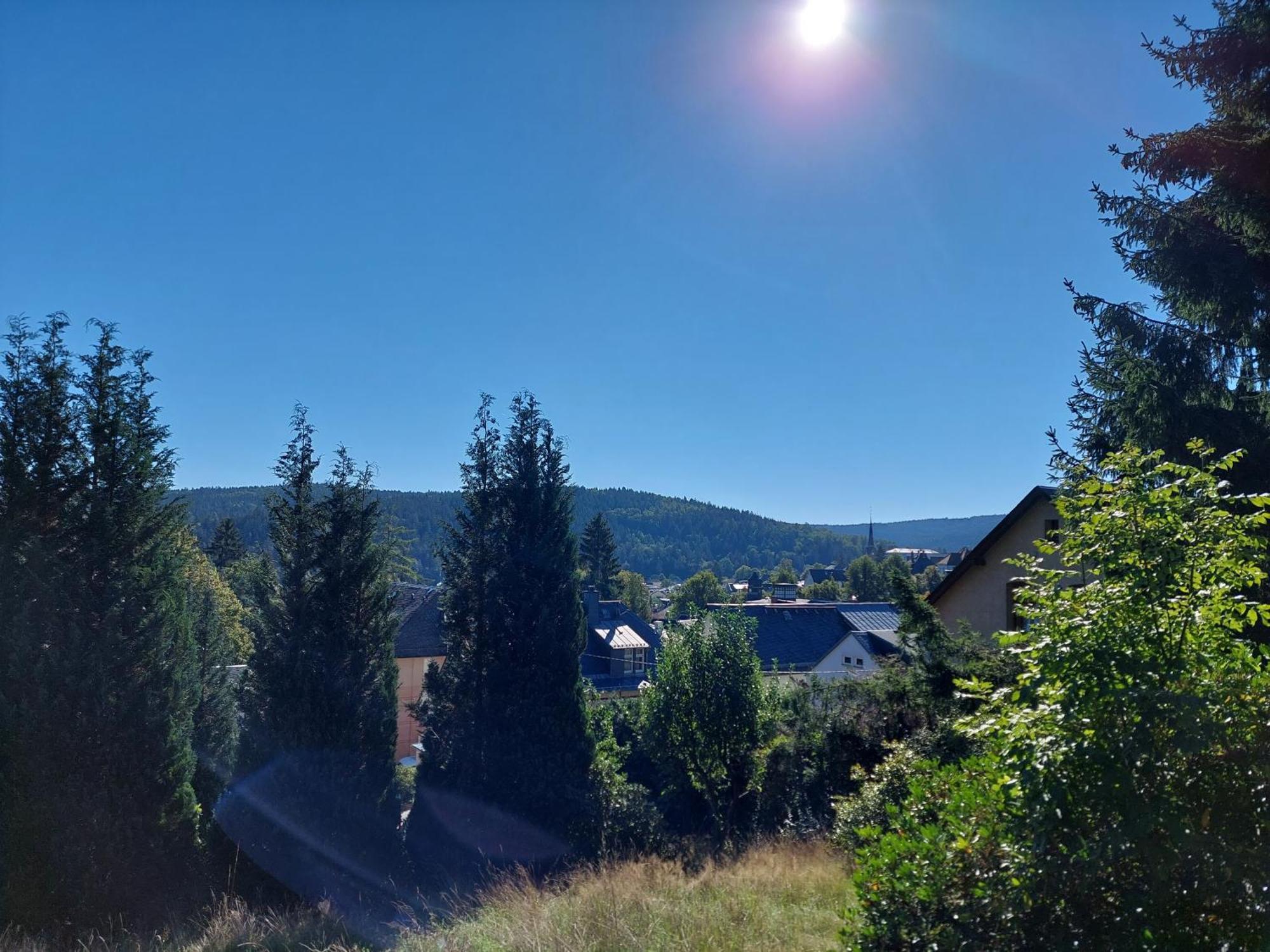 Villa Helvetia Bad Elster Exteriör bild