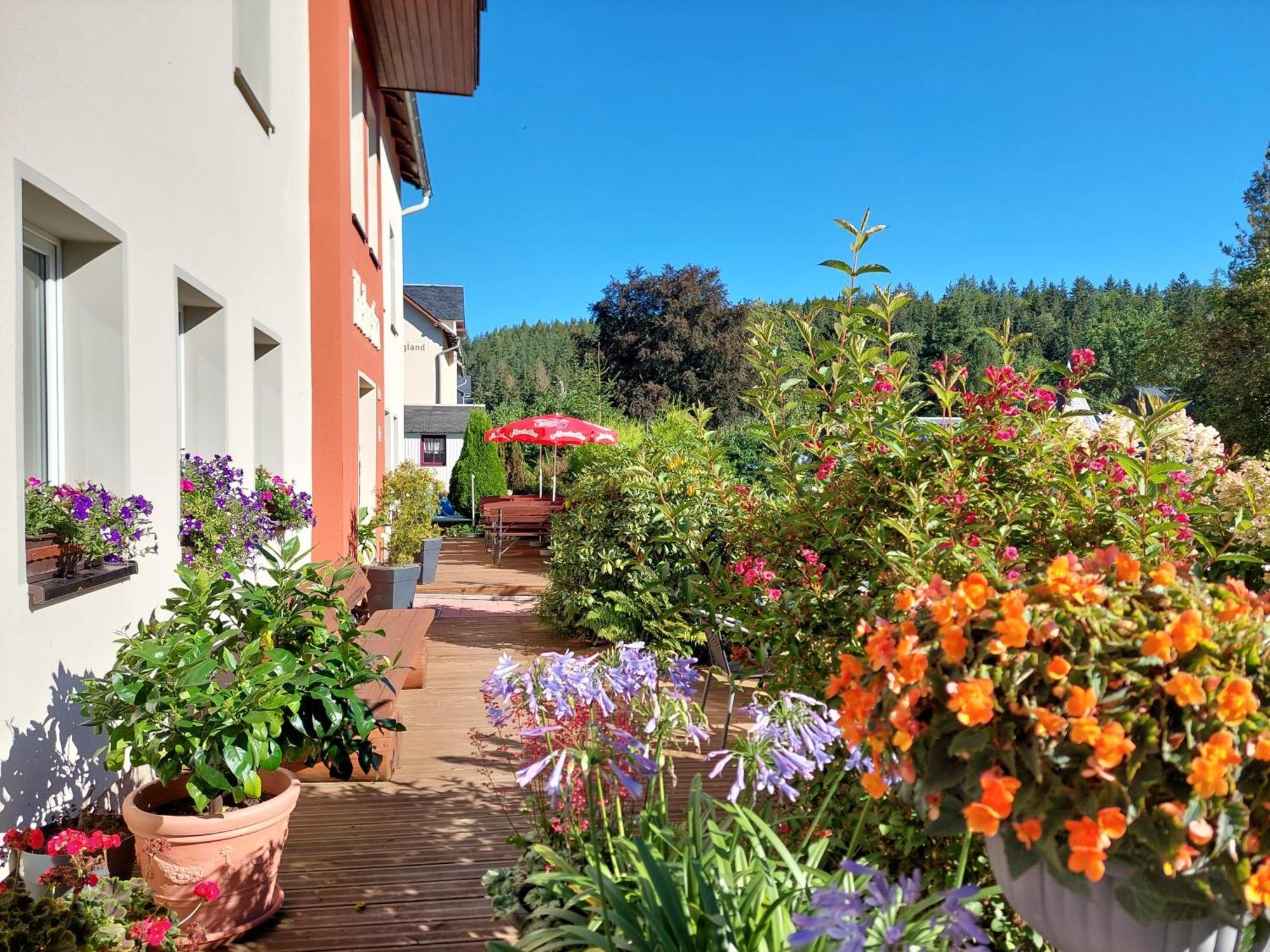 Villa Helvetia Bad Elster Exteriör bild