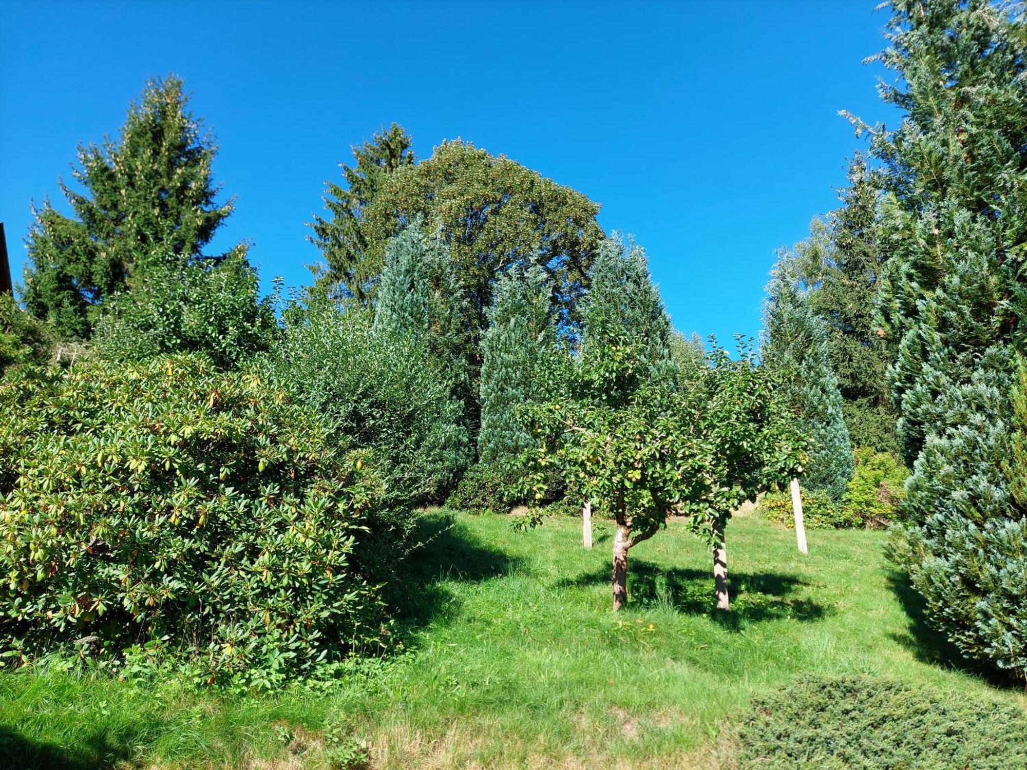 Villa Helvetia Bad Elster Exteriör bild
