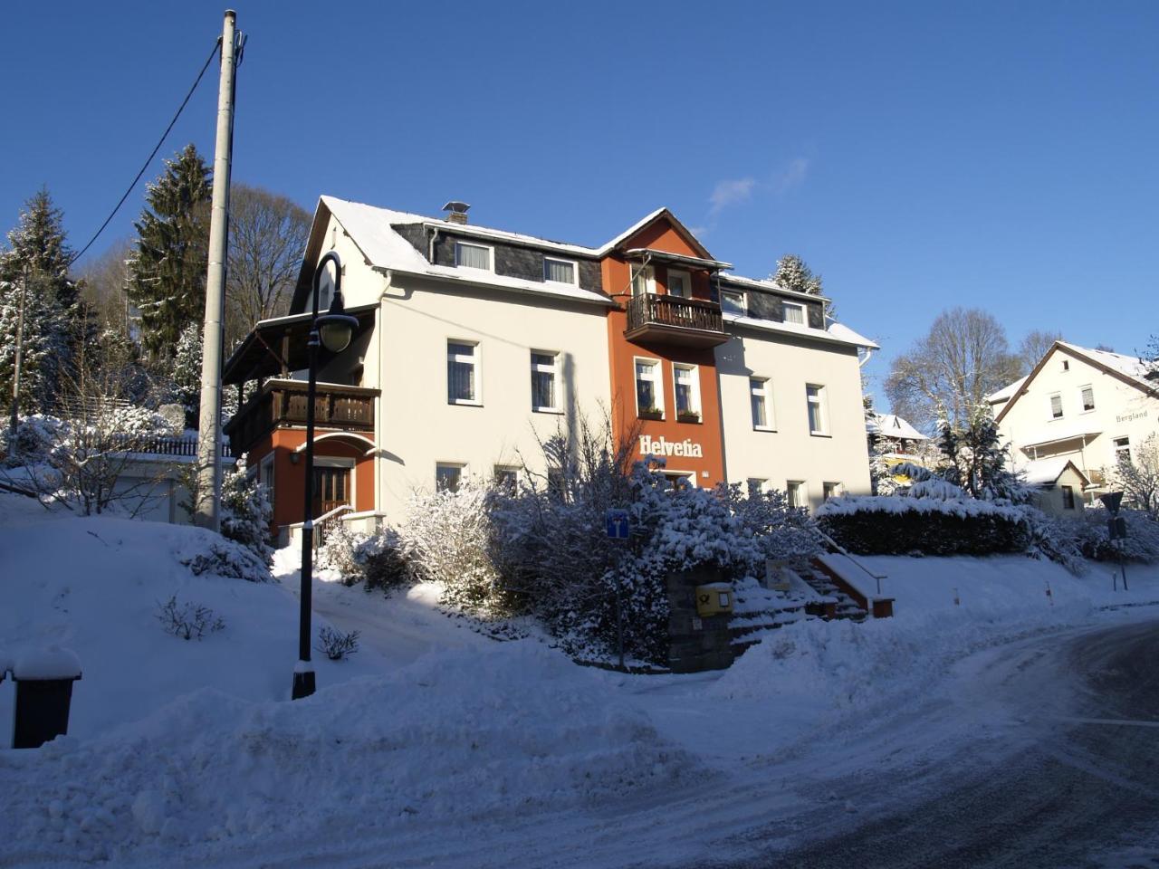 Villa Helvetia Bad Elster Exteriör bild
